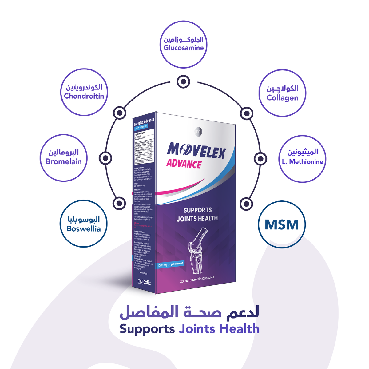 Movelex Advance